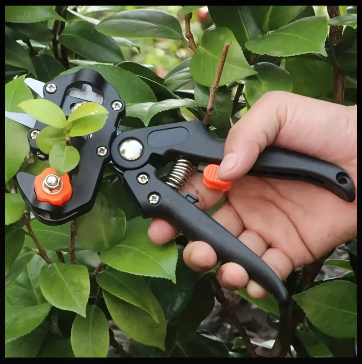 Garden Grafting Tool Kit - Gardening Pruning Shears Set, for Plant Branches and Fruit Tree Pruning, Including Grafting Tape, Grafting Knife and 3 Replacement Blades, Metal and Plastic, Grafting Film. Manual Operation